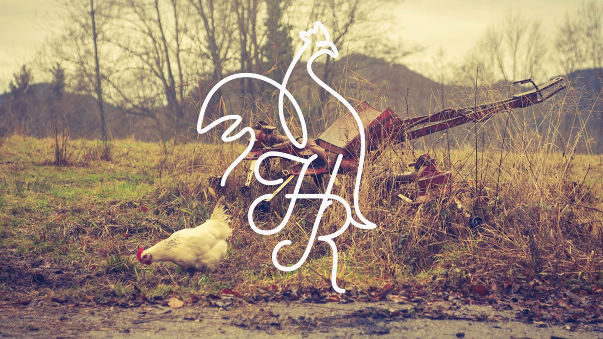 web design histoire de rotisserie